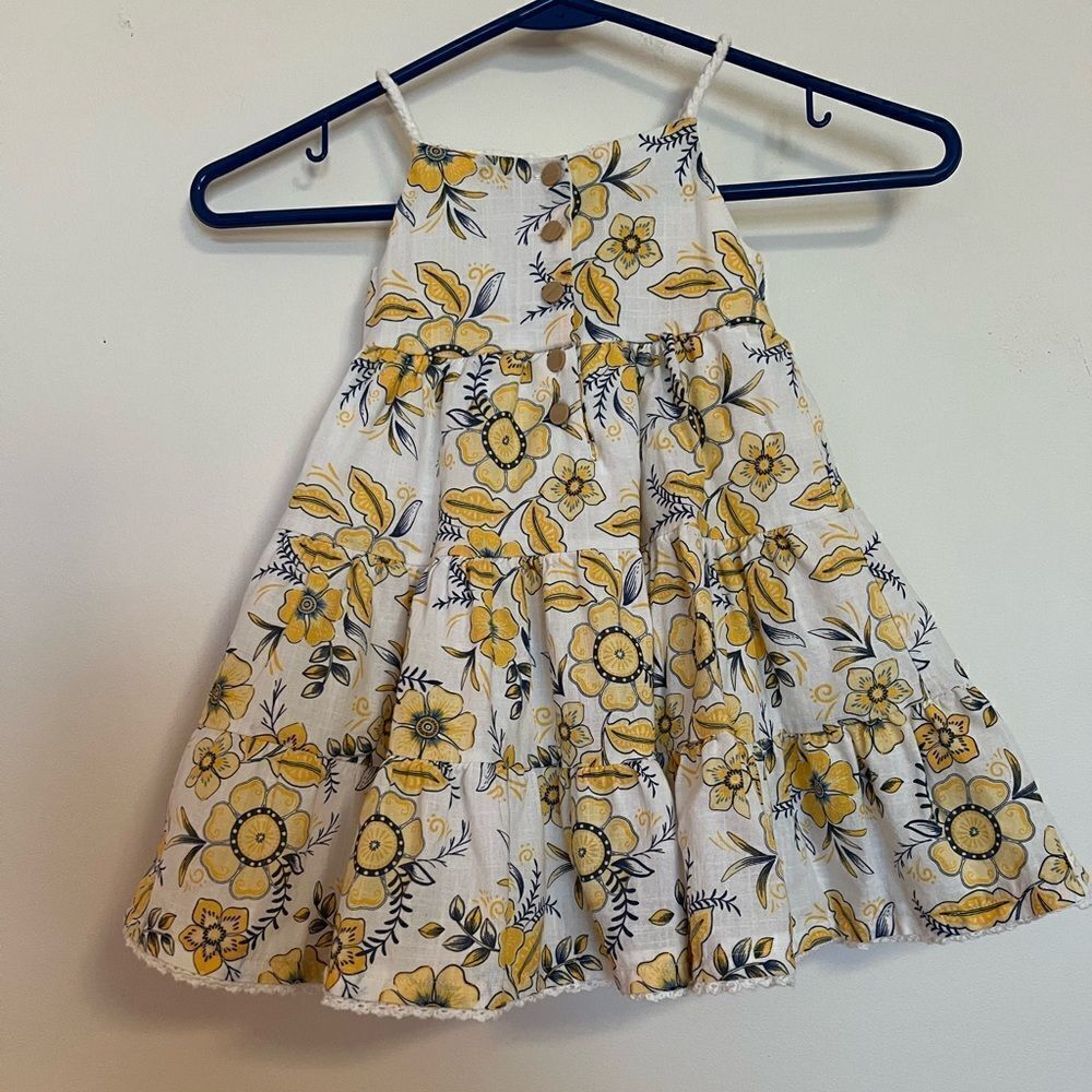 Haute Hippie Dress